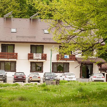Berevoesti Cabana Barlogul Lupilor 빌라 외부 사진