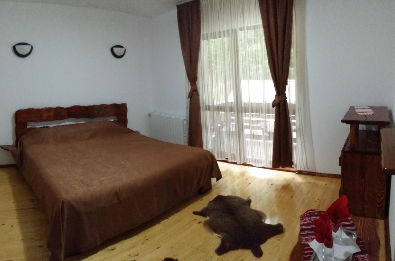 Berevoesti Cabana Barlogul Lupilor 빌라 객실 사진