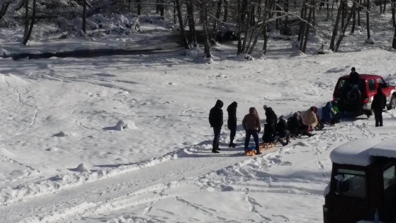 Berevoesti Cabana Barlogul Lupilor 빌라 외부 사진